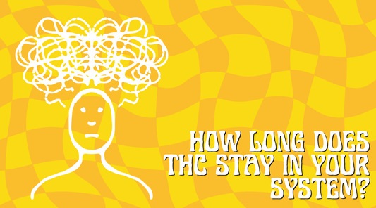 How Long Does Delta-9 THC Stay in Your System?