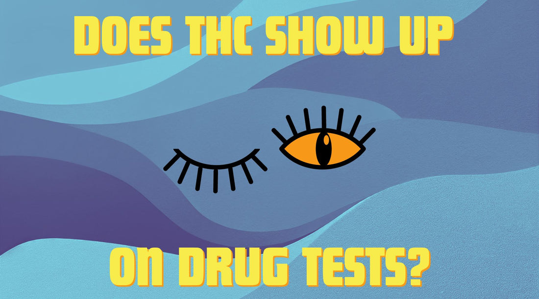 Will Delta-9 THC Show Up in a Drug Test?