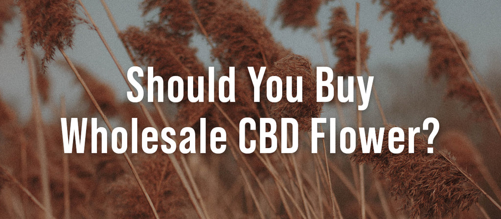Should You Buy Wholesale CBD Flower?