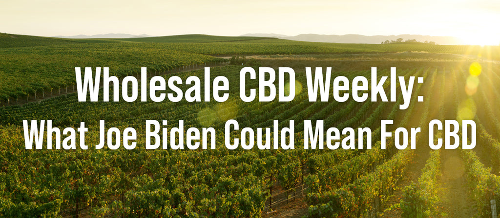 CBD Wholesale Weekly: What Joe Biden Could Mean For CBD