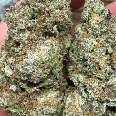Destino Farms Sungrown THCA Flower 3.5g