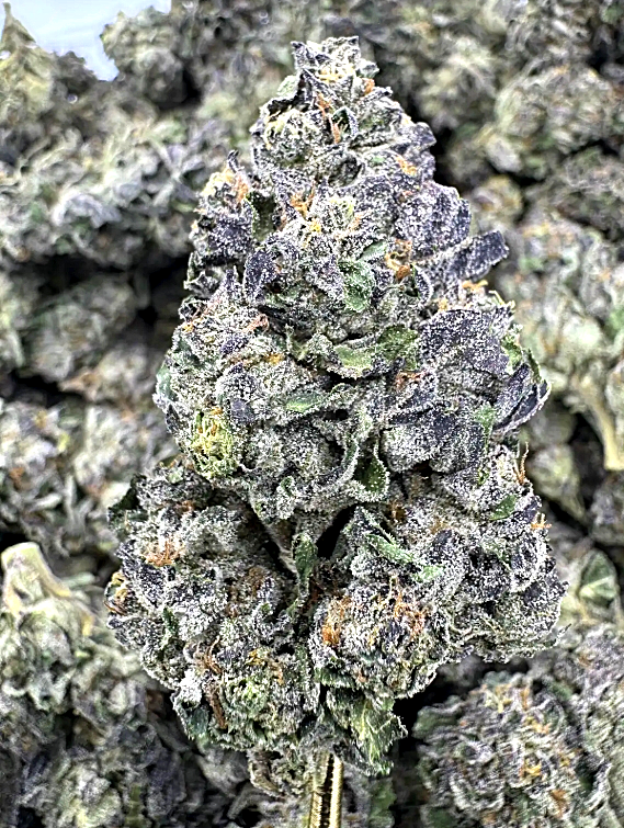 Destino Farms Sungrown THC-A 3.5G Jar