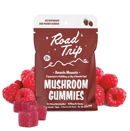 Road Trip “Amanita Muscaria” Mushroom 4ct Gummies - Raspberry