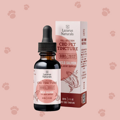 CBD for Pets